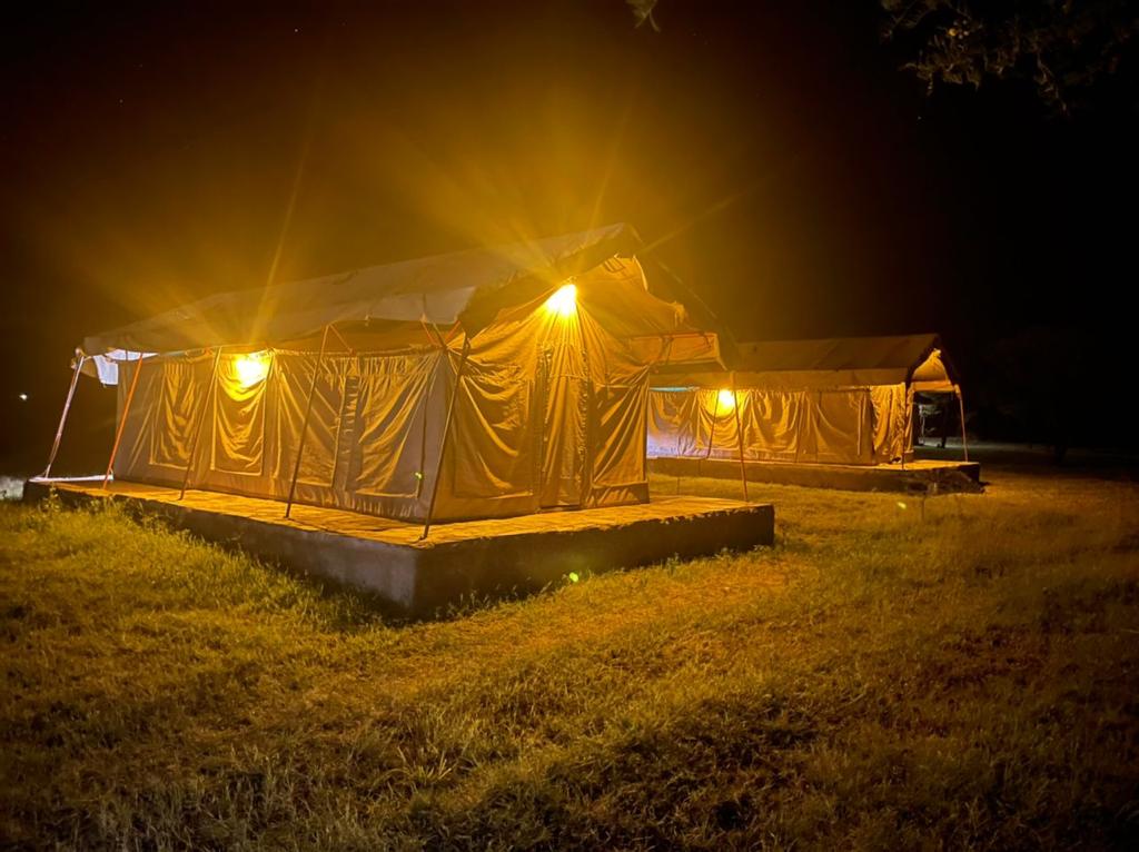 AMENITY TOURS & CAMPING