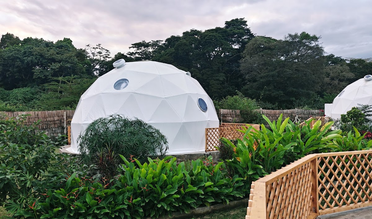 Nekoli Glamping