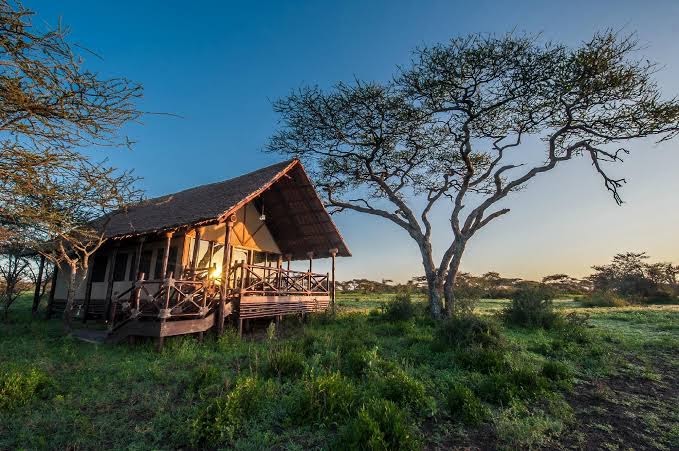 Lake Ndutu Luxury Tented Lodge