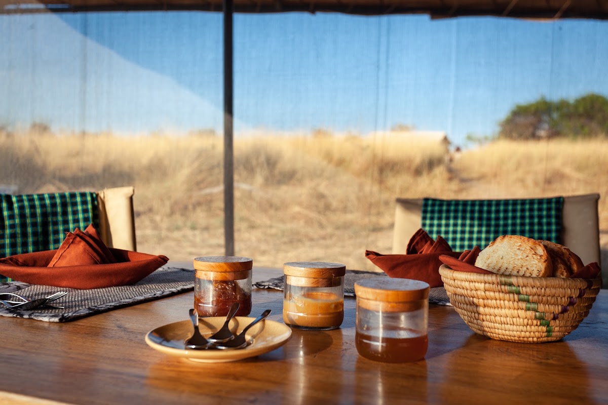 Gnu Ndutu Camp