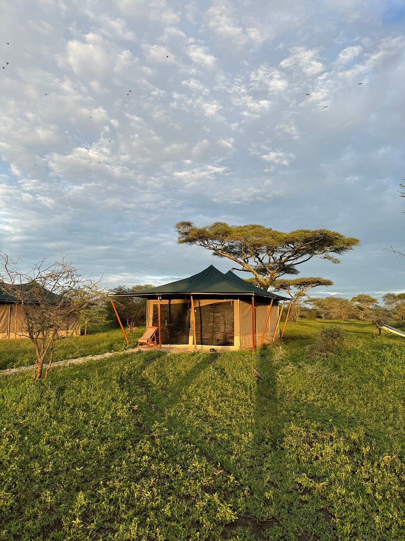 Misako Ndutu Migration Camp