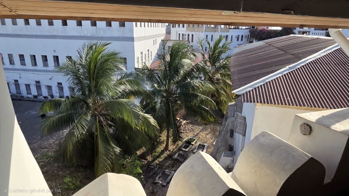 Firefly Zanzibar